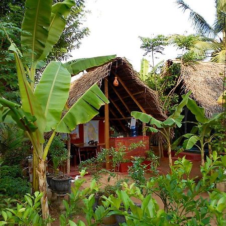Homestay Camping Anuradhapura Ngoại thất bức ảnh
