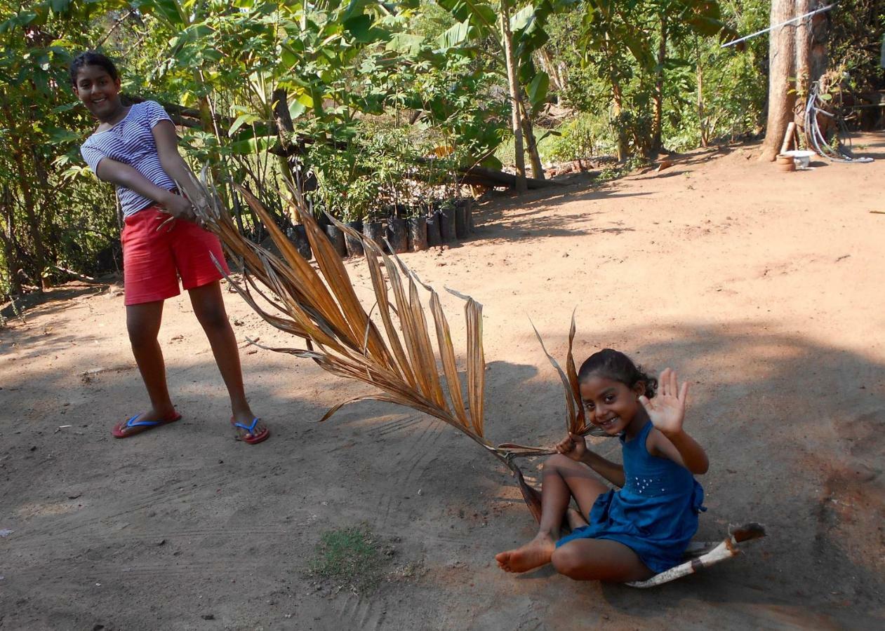 Homestay Camping Anuradhapura Ngoại thất bức ảnh