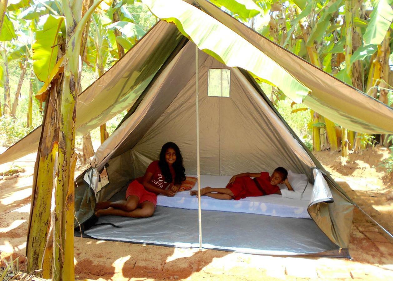 Homestay Camping Anuradhapura Ngoại thất bức ảnh