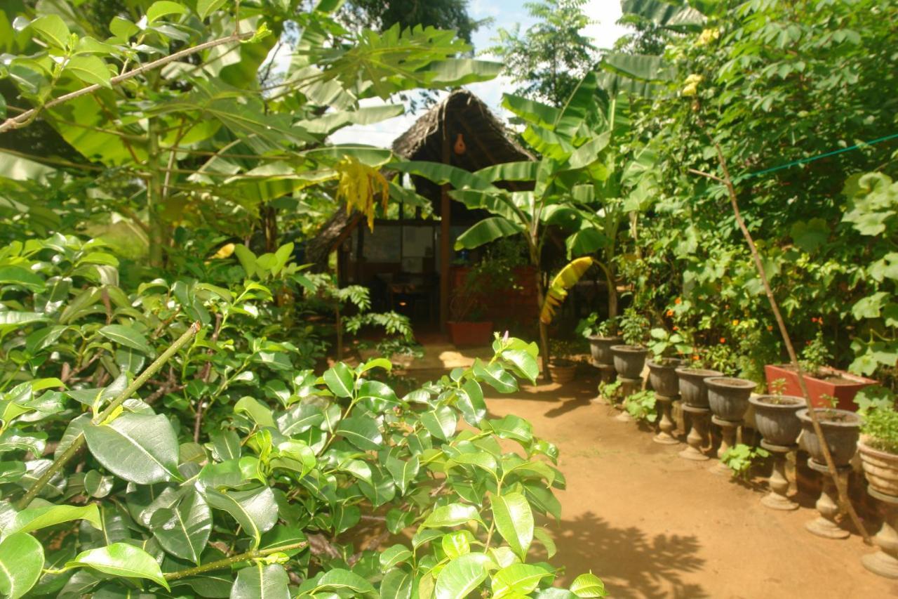 Homestay Camping Anuradhapura Ngoại thất bức ảnh