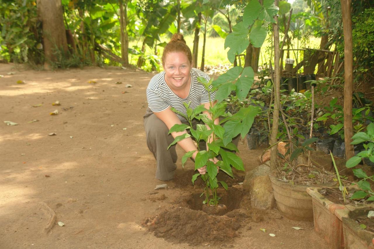 Homestay Camping Anuradhapura Ngoại thất bức ảnh
