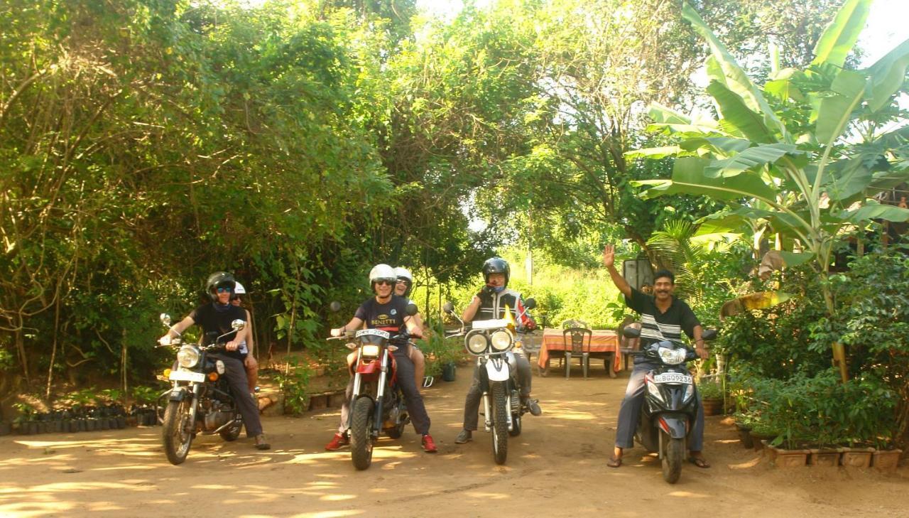 Homestay Camping Anuradhapura Ngoại thất bức ảnh