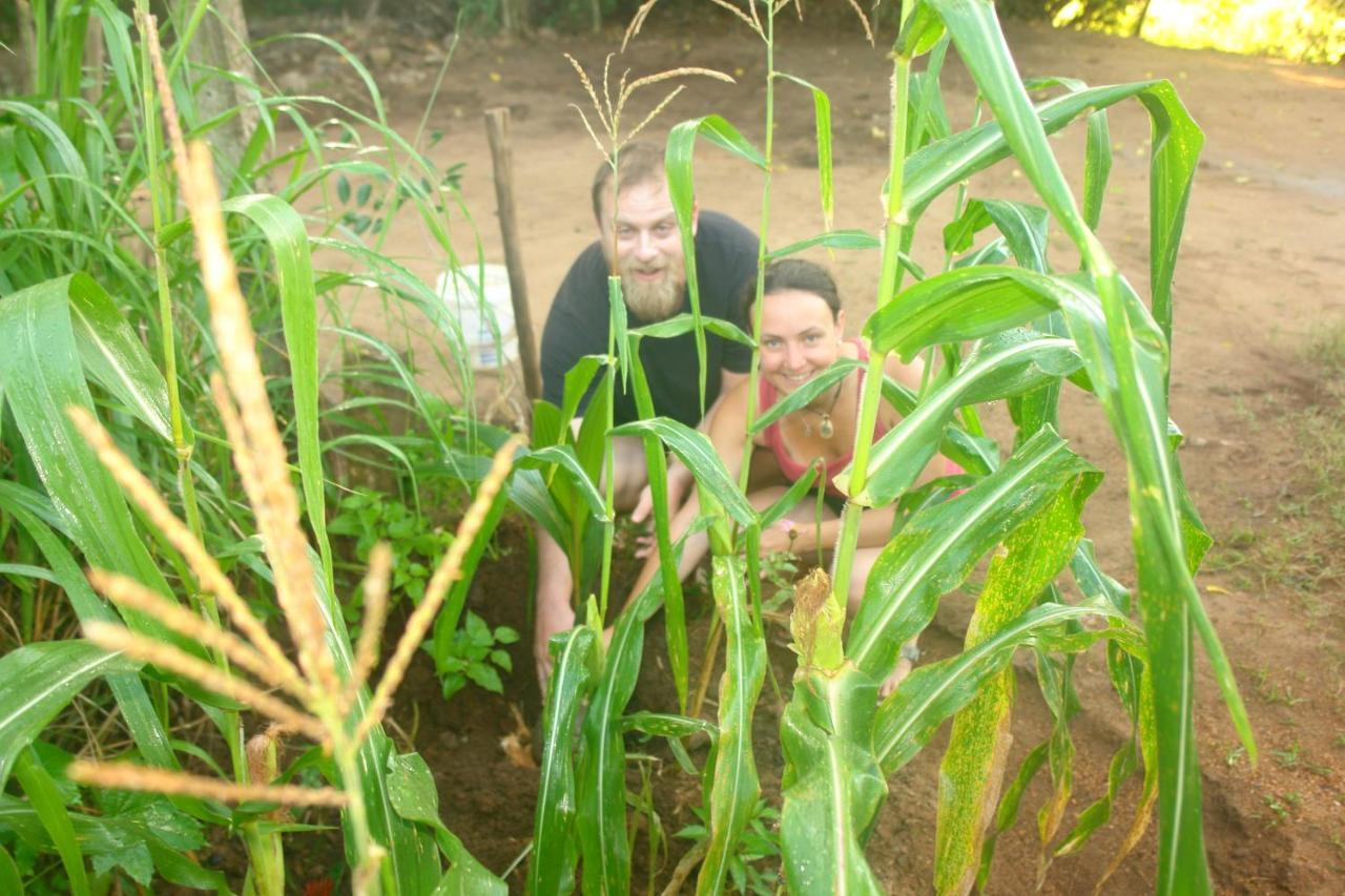 Homestay Camping Anuradhapura Ngoại thất bức ảnh
